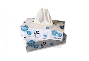 Kosmetiktücher 2 - lagig 100er Box - Hygienico