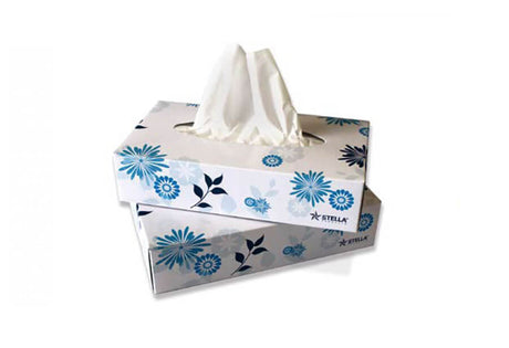 Kosmetiktücher 2 - lagig 100er Box - Hygienico